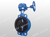Rubber lined butterfly valve